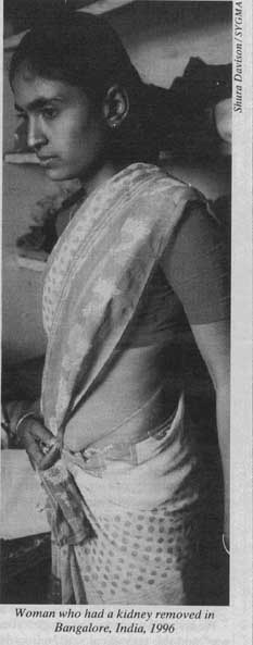 nyreview2.b.jpg (19104 bytes)